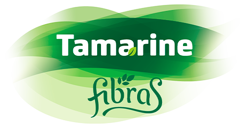 Logo de Tamarine Fibras