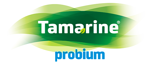 Logo de Tamarine Probium